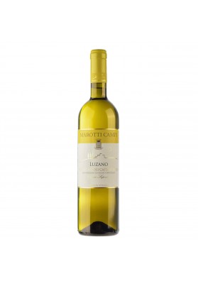 Luzano 2019 Verdicchio dei Castelli di Jesi Classico Superiore DOCG - Marotti Campi