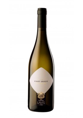 Pinot Grigio 2019 Trentino Doc - Lavis