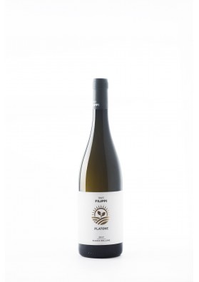Platone 2019 Bellone Lazio IGP - Tenute Filippi