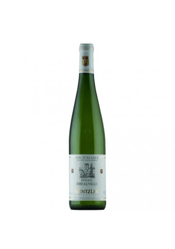 Alsace 2019 Riesling AAC - Domaine Kientzler