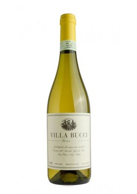 Verdicchio Riserva Classico 2020 Castelli Di Jesi DOCG Biologico - Villa Bucci