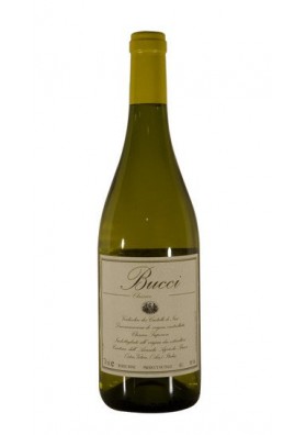 Verdicchio Riserva Classico Superiore 2023 Castelli Di Jesi DOCG - Villa Bucci