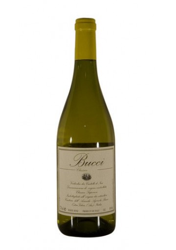 Verdicchio Riserva Classico Superiore 2023 Castelli Di Jesi DOCG - Villa Bucci