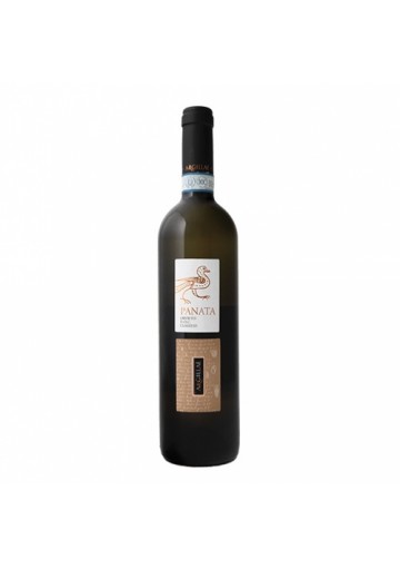 Panata 2021 Orvieto DOC Classico Superiore - Argillae