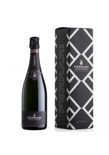 Ferrari Maximum Blanc de Blancs Trento DOC- Fratelli Lunelli