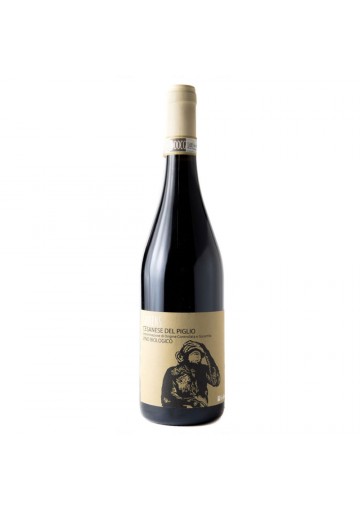 Sapiens 2019 Cesanese del Piglio DOCG - Azienda Vinicola Federici