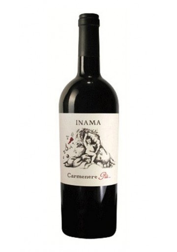 Carmenere Più 2021 Veneto Rosso IGT - Inama
