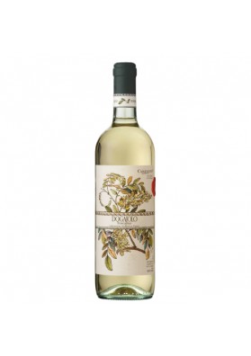 Dogajolo Toscano Bianco 2020 Toscana IGT - Carpineto