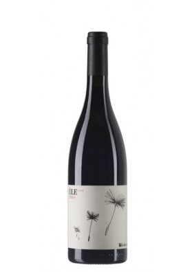 Ule 2019 Syrah Lazio IGT - Azienda Vinicola Federici