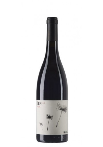 Ule 2019 Syrah Lazio IGT - Azienda Vinicola Federici